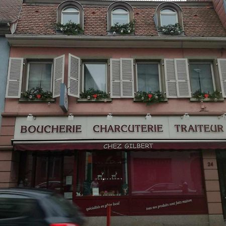 "Cote Nature", Appartement Cosy Au Coeur De Munster 蒙斯特 外观 照片