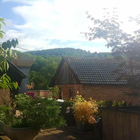 "Cote Nature", Appartement Cosy Au Coeur De Munster 蒙斯特 外观 照片