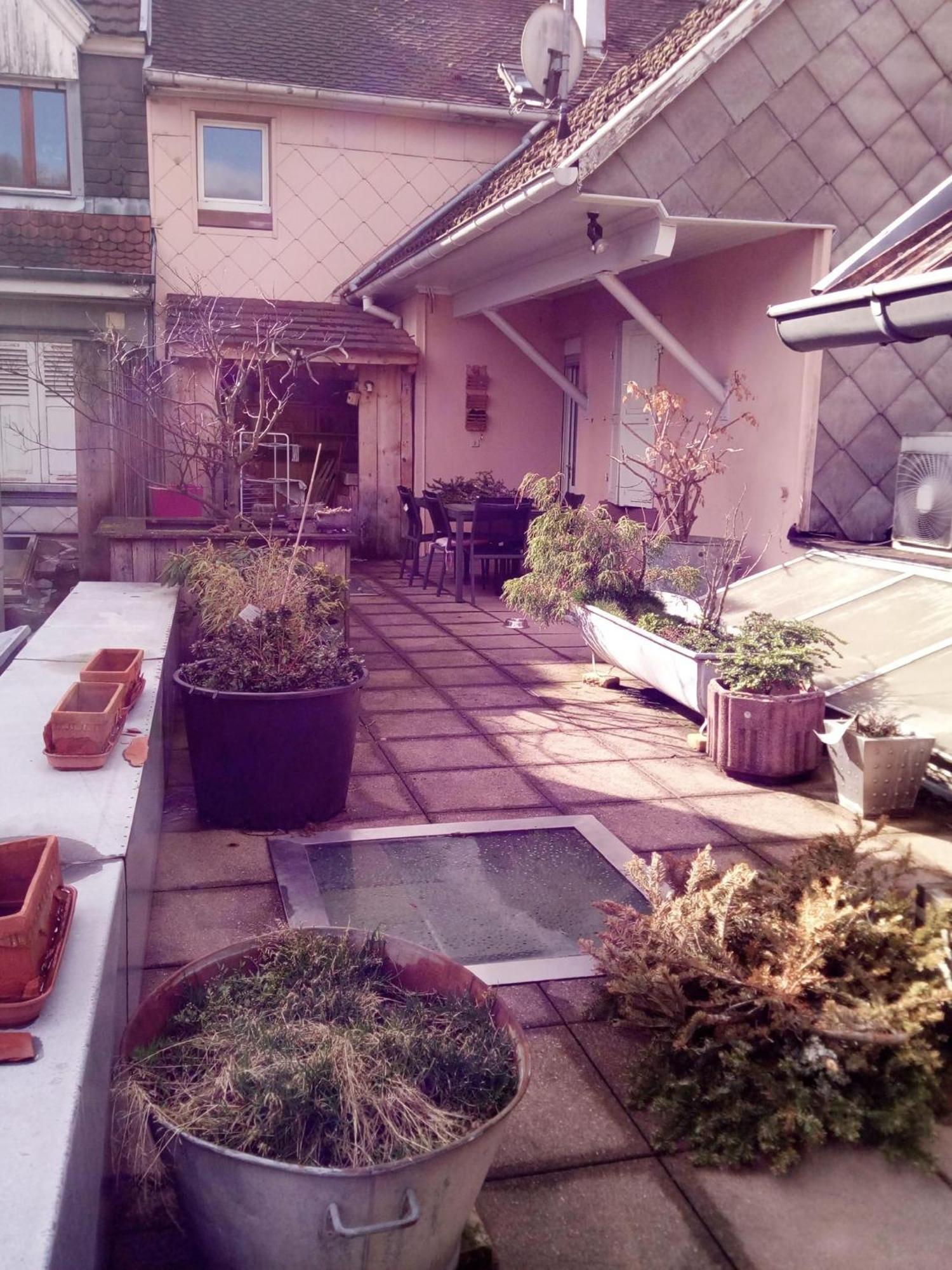 "Cote Nature", Appartement Cosy Au Coeur De Munster 蒙斯特 外观 照片