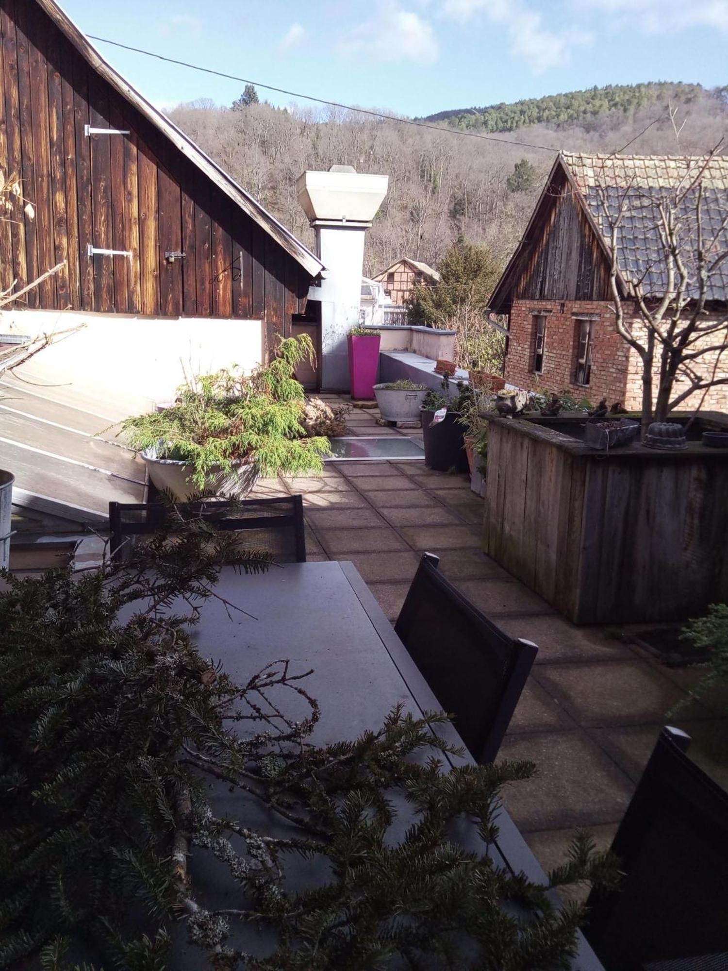 "Cote Nature", Appartement Cosy Au Coeur De Munster 蒙斯特 外观 照片